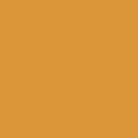 Daler Rowney FW Liquid Acrylic Ink Raw Sienna 1oz - Nevada Fine Arts