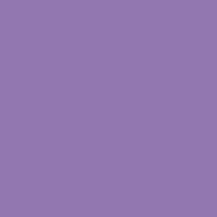 Daler Rowney FW Liquid Acrylic Ink Velvet Violet 1oz - Nevada Fine Arts