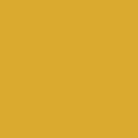 Daler Rowney FW Liquid Acrylic Ink Yellow Ochre 1oz - Nevada Fine Arts