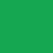 Daler Rowney FW Pearlescent Liquid Acrylic Ink Macaw Green 1oz - Nevada Fine Arts