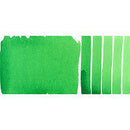 Daniel Smith Extra Fine Watercolor Permanent Green Light 15ml - Nevada Fine Arts