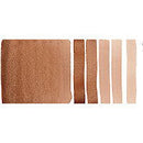 Daniel Smith Extra Fine Watercolor Roasted French Ochre 15ml - Nevada Fine Arts