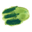 Daniel Smith Watercolor Stick Sap Green - Nevada Fine Arts
