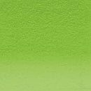 Derwent Coloursoft Colored Pencil Green C420 - Nevada Fine Arts