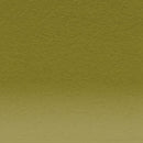 Derwent Coloursoft Colored Pencil Lichen Green C500 - Nevada Fine Arts
