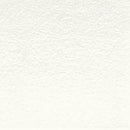 Derwent Inktense Pencil Antique White 2300 - Nevada Fine Arts