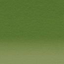 Derwent Inktense Pencil Beech Green 1510 - Nevada Fine Arts