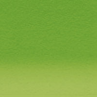 Derwent Inktense Pencil Fern 1560 - Nevada Fine Arts