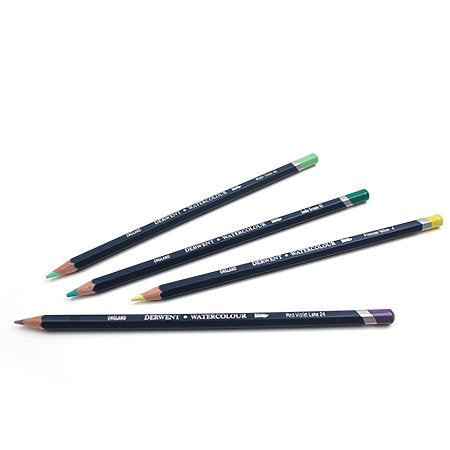 Derwent Watercolor Pencil Cedar Green 5000 - Nevada Fine Arts