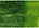 Derwent Watercolor Pencil Cedar Green 5000 - Nevada Fine Arts