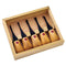 Flexcut Beginner Wood Carving Palm Tool Set 5pc - Nevada Fine Arts