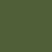 Jacquard Procion MX Fiber Dye Olive Green 2/3oz - Nevada Fine Arts
