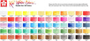 Sakura Koi Water Colors Studio Set Assorted Colors 60pc - Nevada Fine Arts