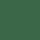 Tombow Dual Brush-Pen Hunter Green 249