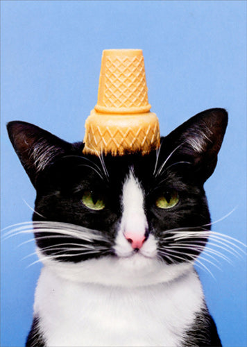 Avanti Press Cat with Ice Cream Cone on Head Birthday Card front