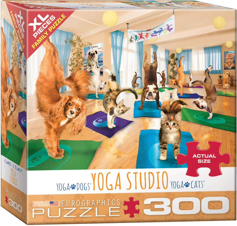 Eurographics Yoga Studio 300 Piece Puzzle
