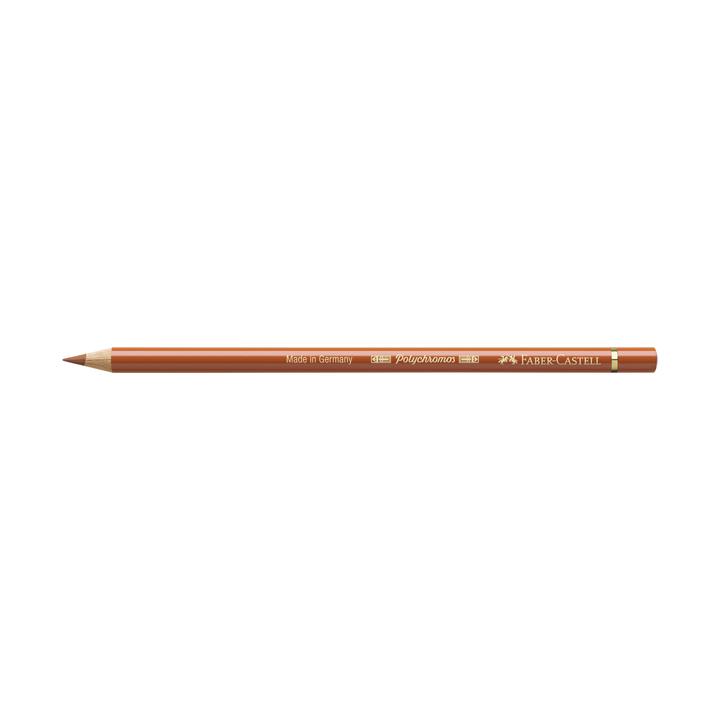 Faber-Castell Polychromos Artists' Colored Pencil Terracotta