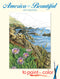 America the Beautiful to Paint or Color book cover